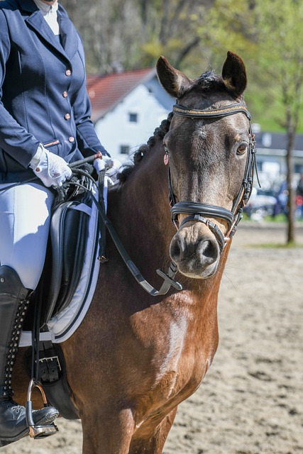 魔术主帅：小瓦格纳只是脚踝高位扭伤，没有外界猜测那么严重